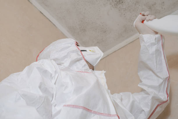 Best Mold Removal Near Me  in Grant Park, IL